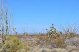 434 Cactus Wren Dr - Photo 39