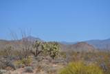 434 Cactus Wren Dr - Photo 42