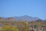 434 Cactus Wren Dr - Photo 43