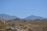 434 Cactus Wren Dr - Photo 44