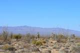 434 Cactus Wren Dr - Photo 6