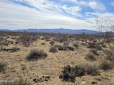 320 Acres Brittlebush Dr - Photo 1