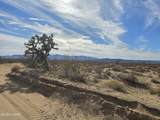 320 Acres Brittlebush Dr - Photo 27