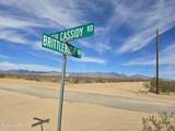 320 Acres Brittlebush Dr - Photo 5