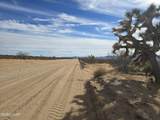 320 Acres Brittlebush Dr - Photo 7
