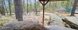 6540 Supai Ln - Photo 51