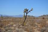 5.5 Acres Suzette Rd - Photo 11