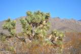 5.5 Acres Suzette Rd - Photo 19