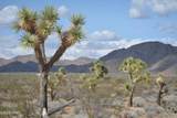 5.5 Acres Suzette Rd - Photo 2