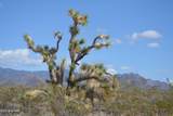 5.5 Acres Suzette Rd - Photo 41
