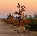 496 Billy The Kid Rd - Photo 29