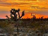 496 Billy The Kid Rd - Photo 42