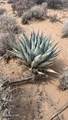 496 Billy The Kid Rd - Photo 48