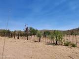 1280 Acres 329-02-018 White Hills Rd - Photo 26