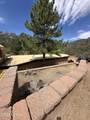 6723 Knob Hill Dr - Photo 123