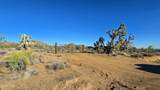 2b Cattle Crossing Rd - Photo 17