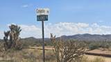 8375 Cholla Dr - Photo 41