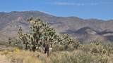 8375 Cholla Dr - Photo 42