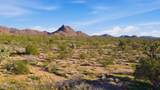 000 Cactus Wren Dr - Photo 15