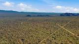 000 Cactus Wren Dr - Photo 6