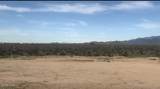 18206 Gene Autry Rd - Photo 15