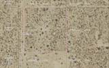 11900 Alan Rd - Photo 35