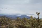 11900 Alan Rd - Photo 49