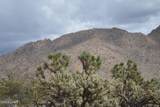 11900 Alan Rd - Photo 65