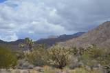 11900 Alan Rd - Photo 68