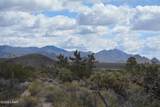 11900 Alan Rd - Photo 78