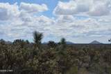 11900 Alan Rd - Photo 80