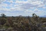 11900 Alan Rd - Photo 82