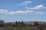 11900 Alan Rd - Photo 86