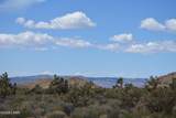 11900 Alan Rd - Photo 87