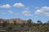 11900 Alan Rd - Photo 89
