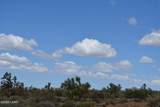 11900 Alan Rd - Photo 91