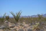 199 Cortaro Rd - Photo 10