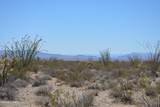 199 Cortaro Rd - Photo 15