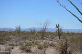 199 Cortaro Rd - Photo 16