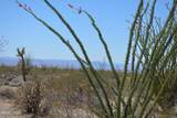 199 Cortaro Rd - Photo 19