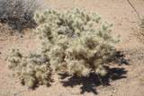 199 Cortaro Rd - Photo 20