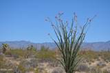 199 Cortaro Rd - Photo 23