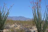 199 Cortaro Rd - Photo 24