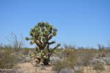 199 Cortaro Rd - Photo 26