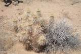 199 Cortaro Rd - Photo 27