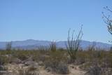199 Cortaro Rd - Photo 29