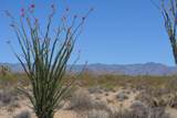 199 Cortaro Rd - Photo 32