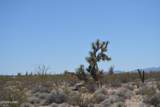 199 Cortaro Rd - Photo 33
