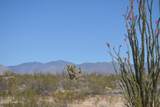 199 Cortaro Rd - Photo 6