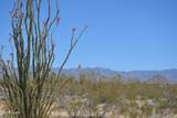 199 Cortaro Rd - Photo 7